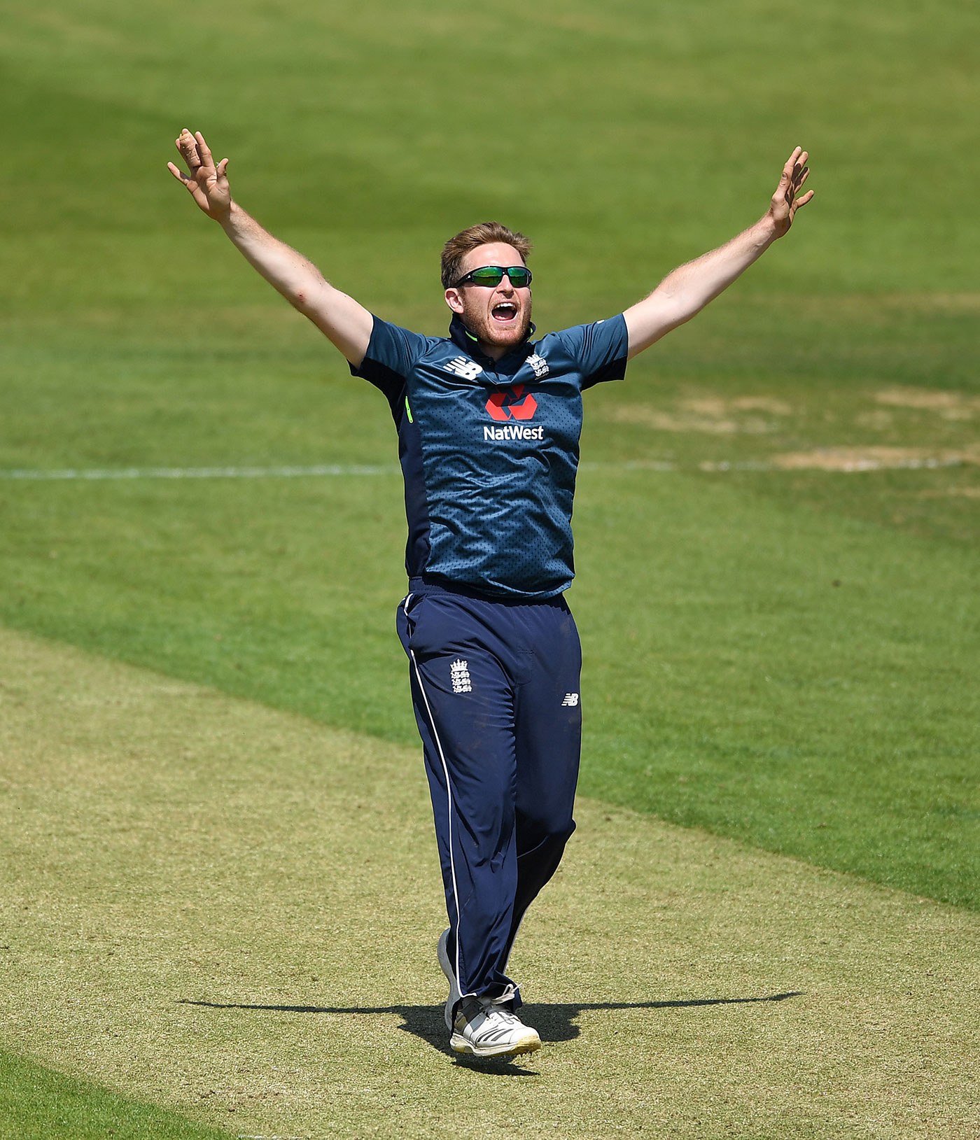 England, Joe Denly,  ODIs, Ireland, Southampton