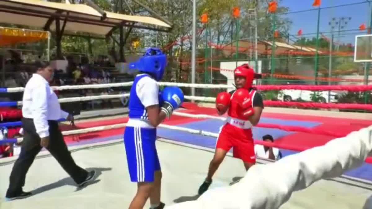 State level boxing championship