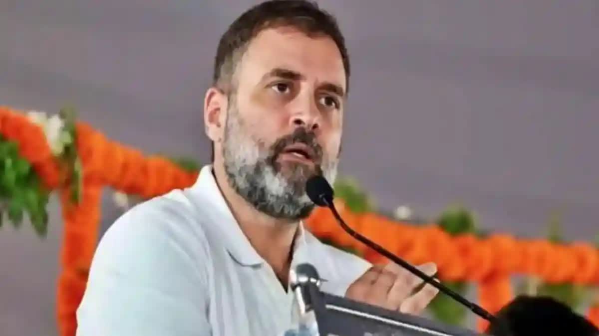 Rahul Gandhi reaches West Bengal as Nyay Yatra is scheduled to resume