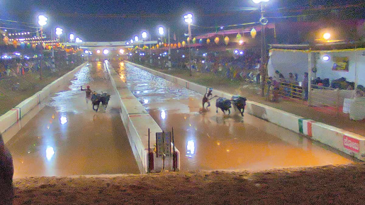 ಇತಿಹಾಸ ಪ್ರಸಿದ್ಧ ಪುತ್ತೂರಿನ ಕಂಬಳ ಆರಂಭ