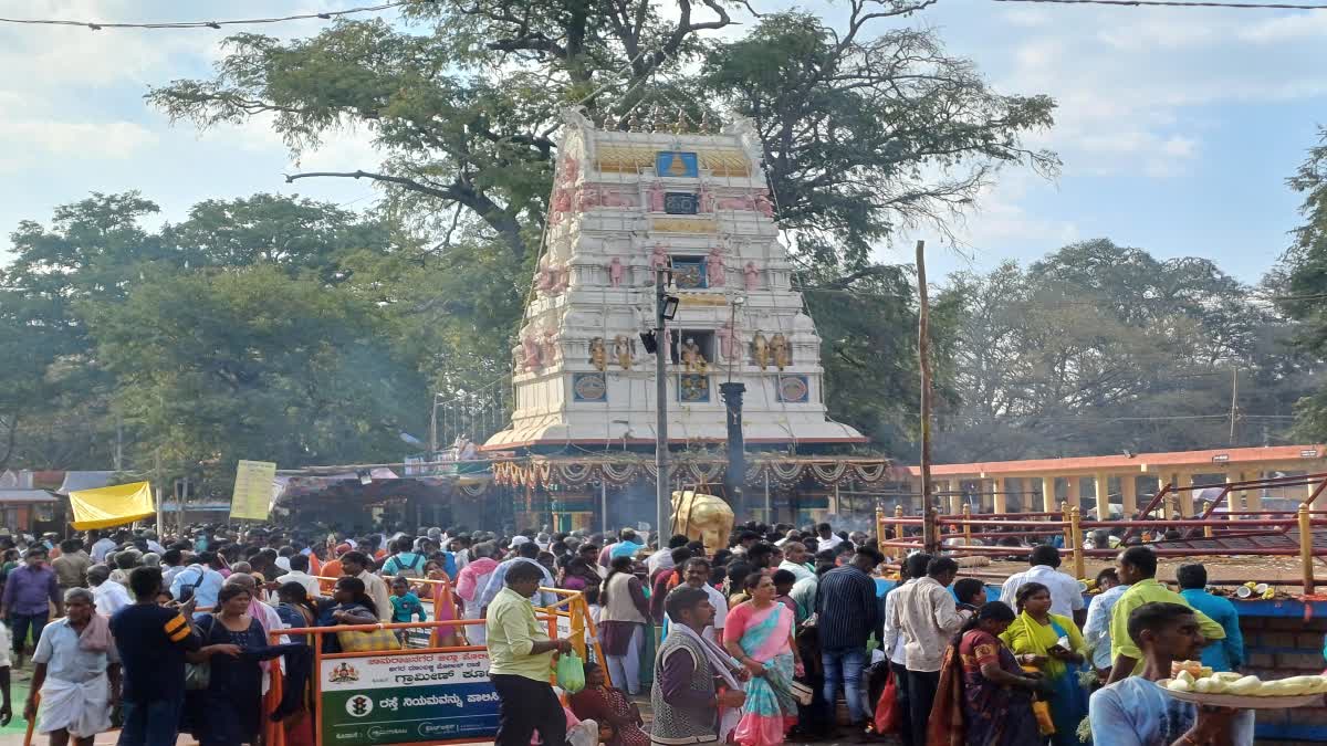 kollegal-sri-siddappaji-temple-chikkalur-jatre-celebration