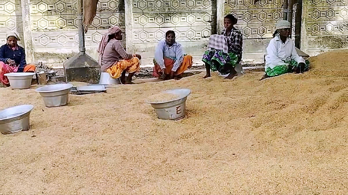 govt direct paddy procurement stations opening issue