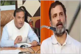 Himanta Biswa Sarma said he will soon share the name and address of the "body double" purportedly used by Congress leader Rahul Gandhi during the Bharat Jodo Nyay Yatra in the state.