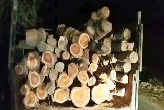 Illegal Timber Seized in hojai