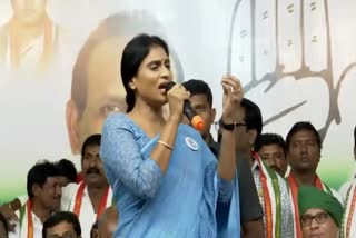 AP_PCC_Chief_Sharmila_Live