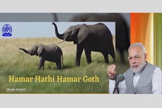 Hamar Hathi Hamar Goth of Ambikapur