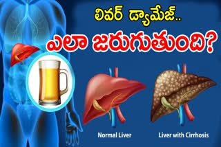 How Liver Damage With Alcohol