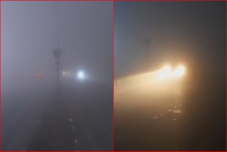 Ambala Heavy Fog Haryana Cold Wave weather Alert Poor Visibility