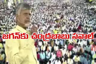 TDP_Chandrababu_Challenge_to_CM_Jagan