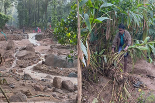 കൃഷിനാശം ഇടുക്കി സർക്കാർ ധനസഹായം  കര്‍ഷകര്‍ക്ക് നഷ്‌ട പരിഹാരം  Idukki farmers crisis  crop damage in natural calamity
