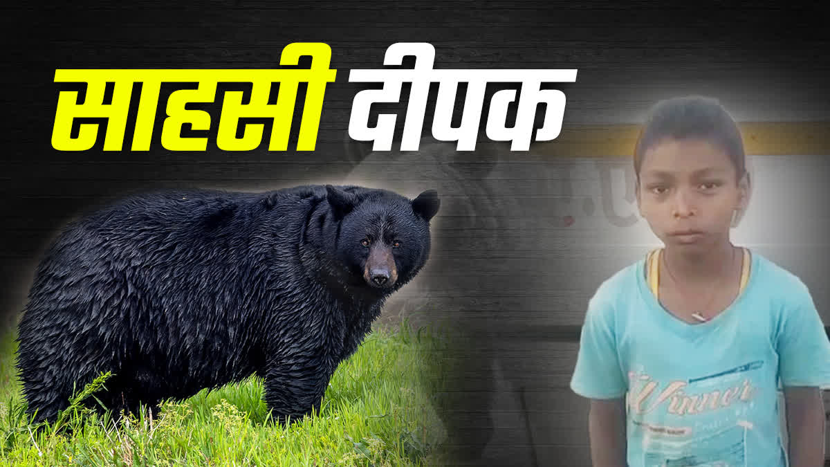 DANTEWADA BEAR ATTACK