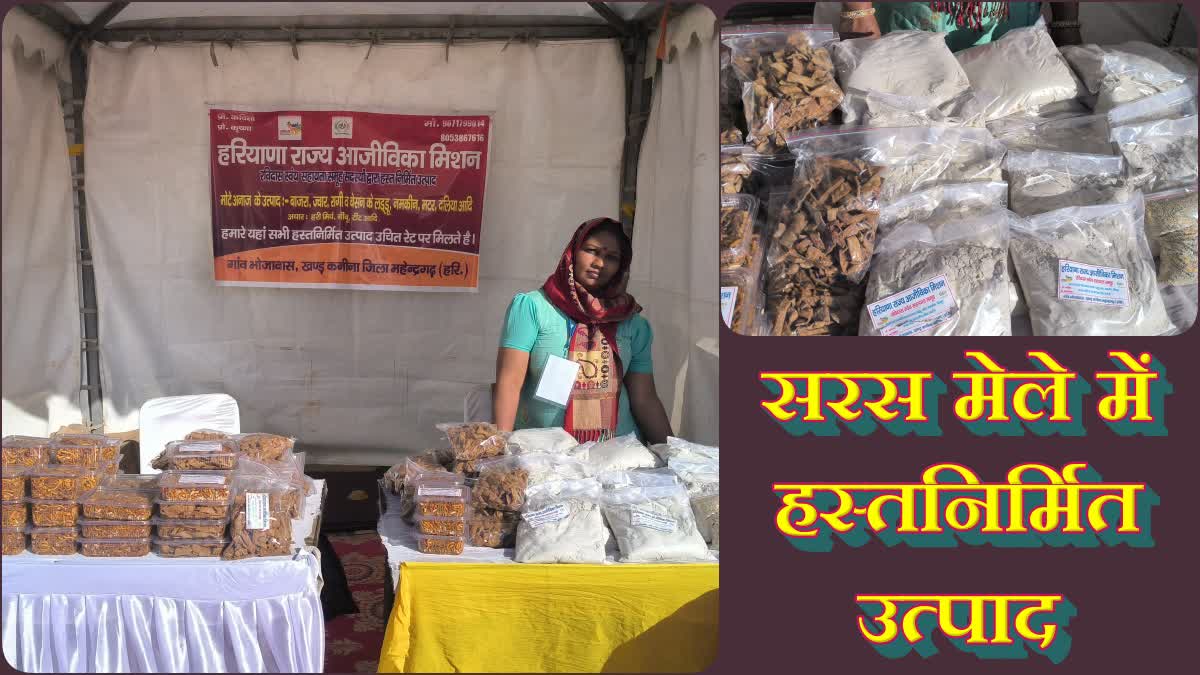 FARIDABAD SARAS FAIR