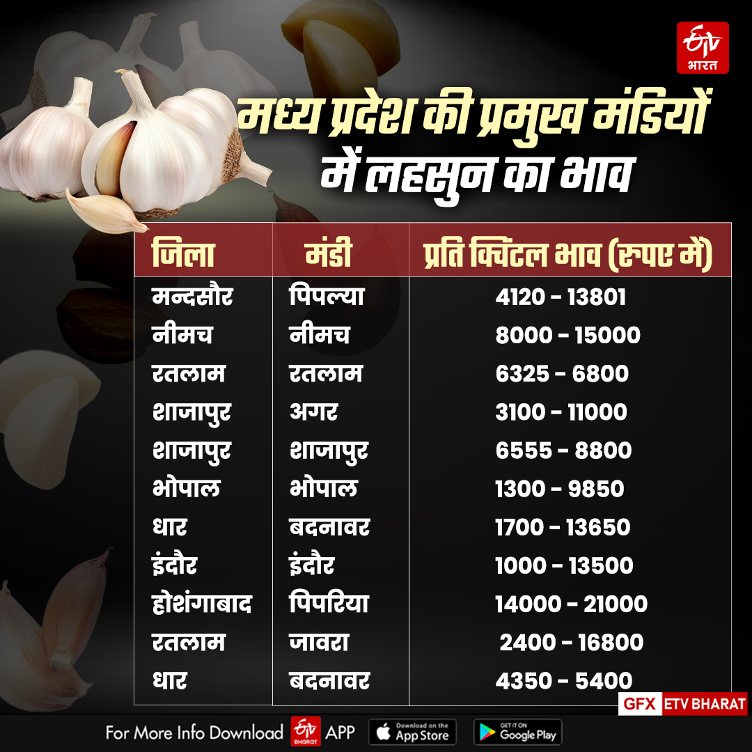 MADHYA PRADESH MARKETS GARLIC RATE