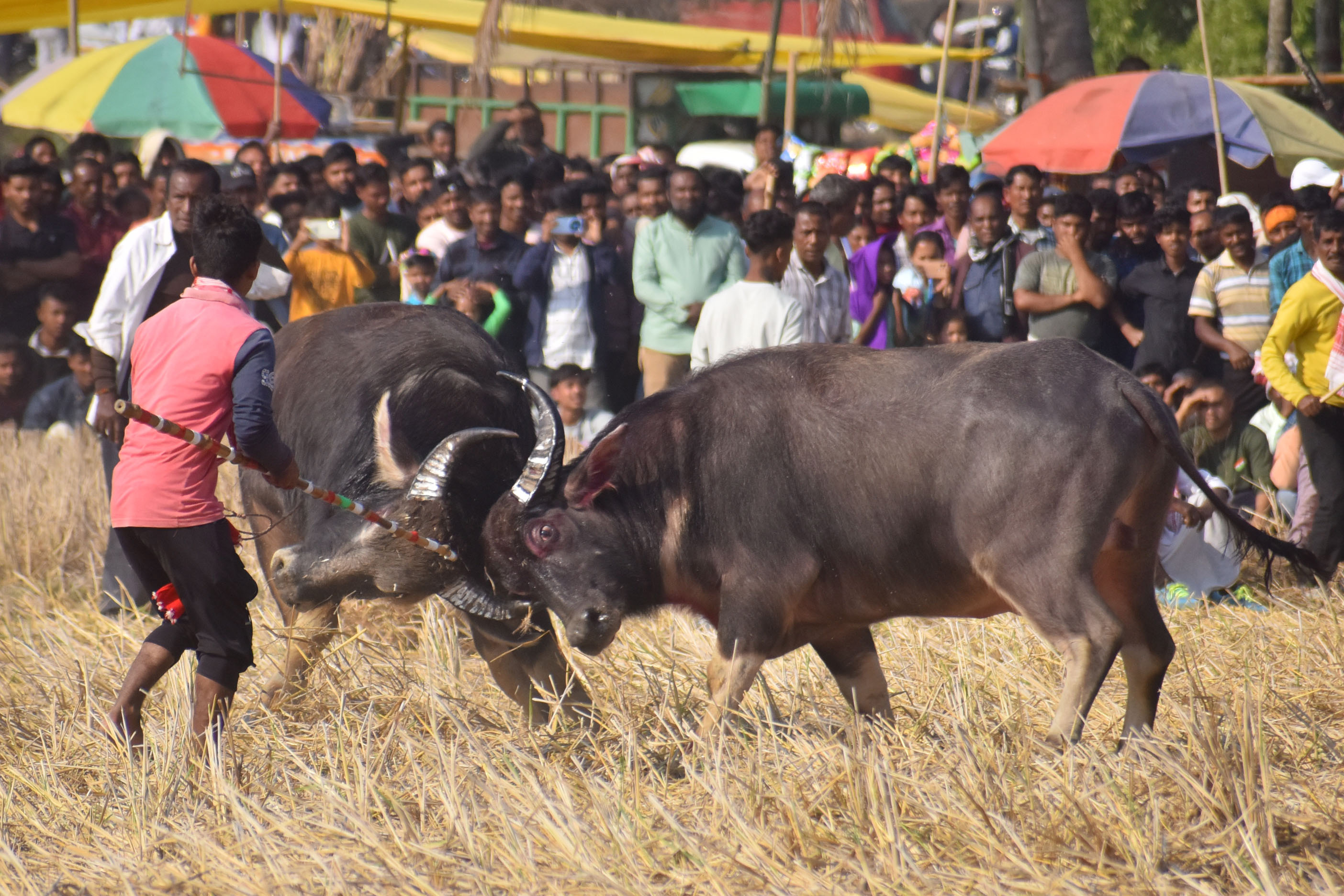 Assam tourism