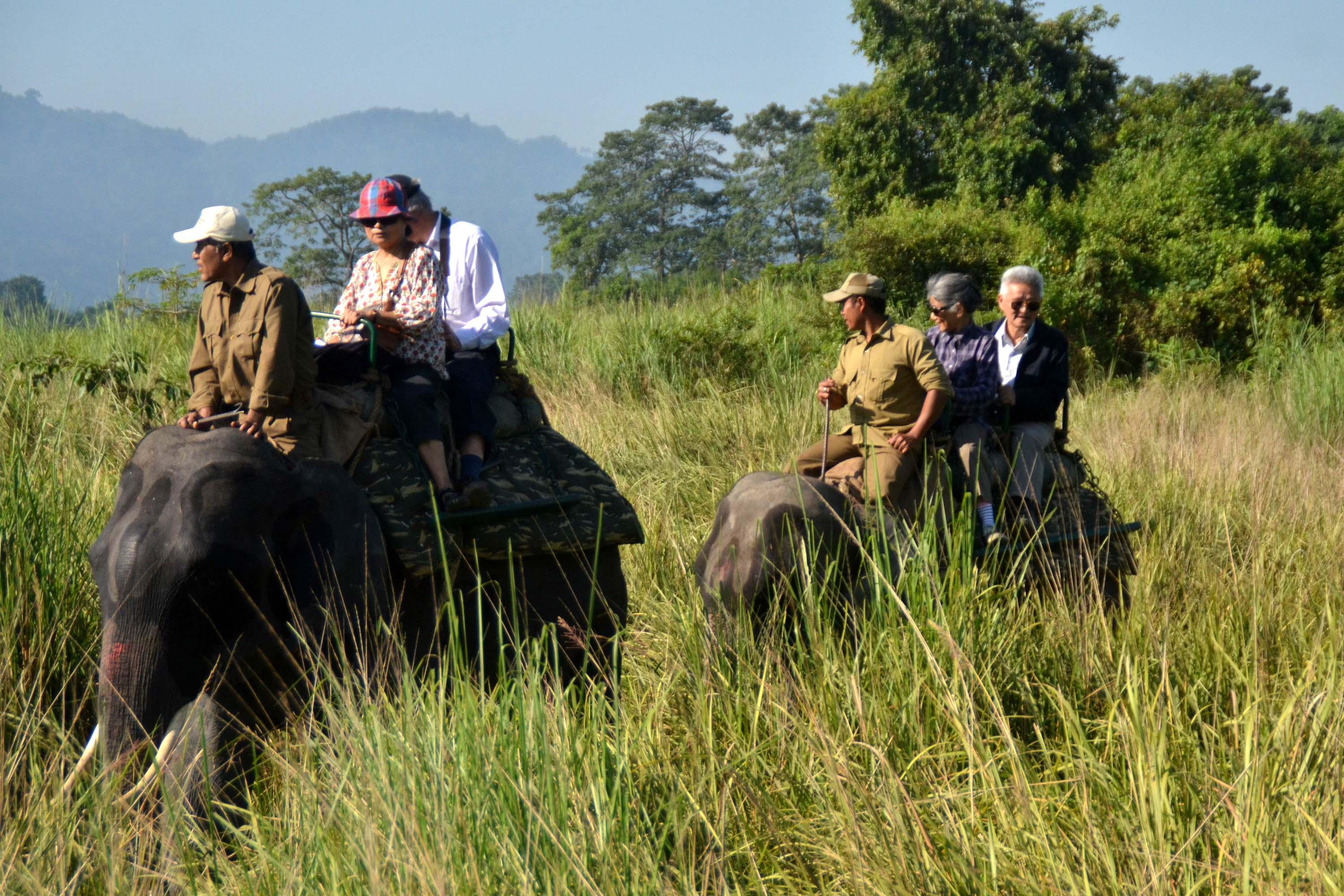 Assam tourism