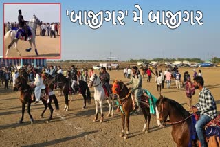 સુરતના લવાછા ગામે અશ્વ દોડનું આયોજન