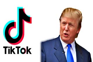 TikTok, US President Donald Trump