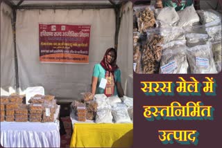 FARIDABAD SARAS FAIR