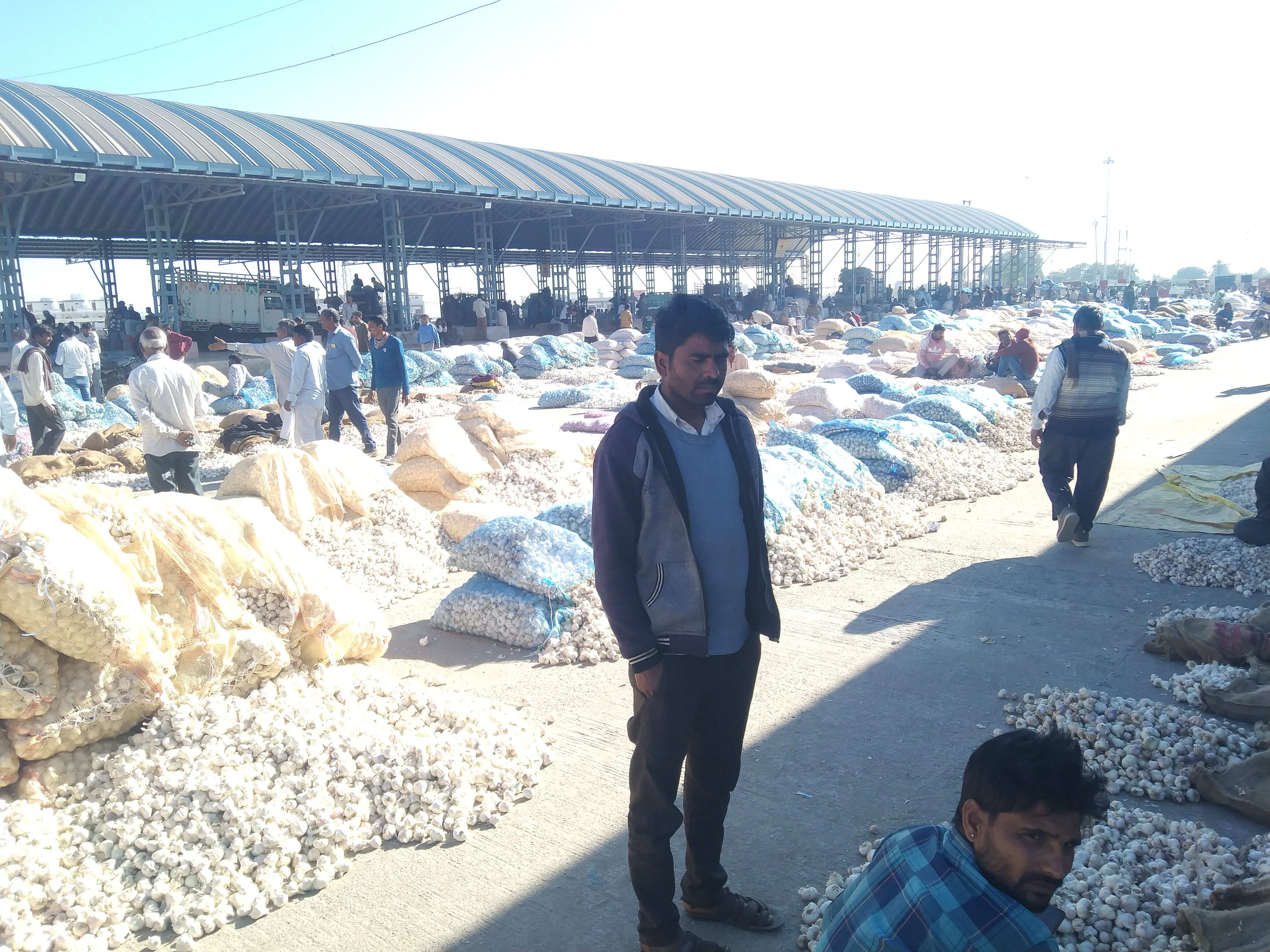 Neemuch Market garlic rate