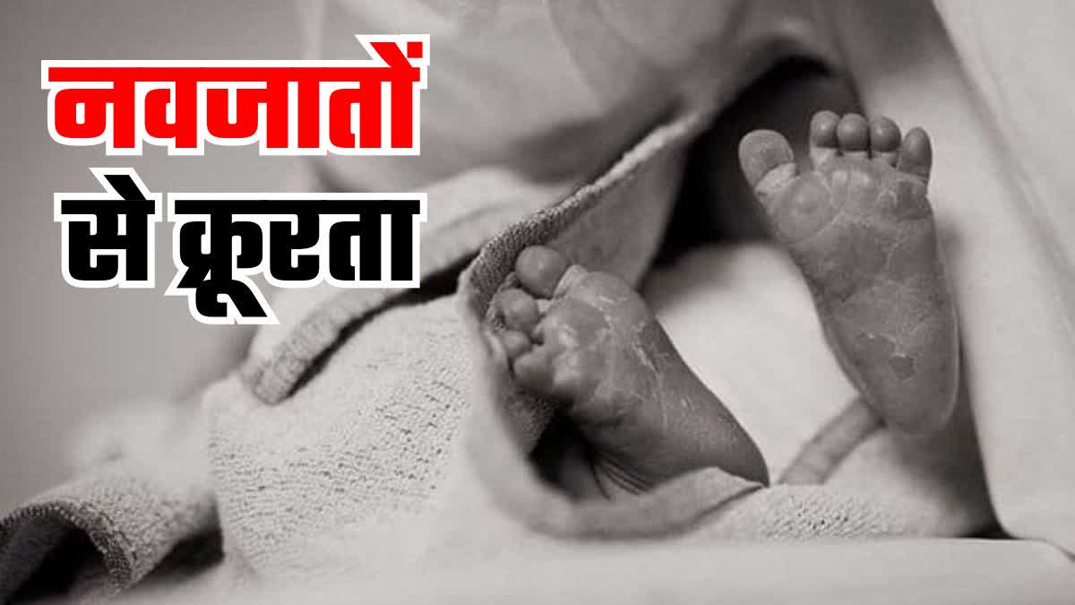 Etv Bharat cruelty-with-newborns-in-lucknow-up-news-in-hindi