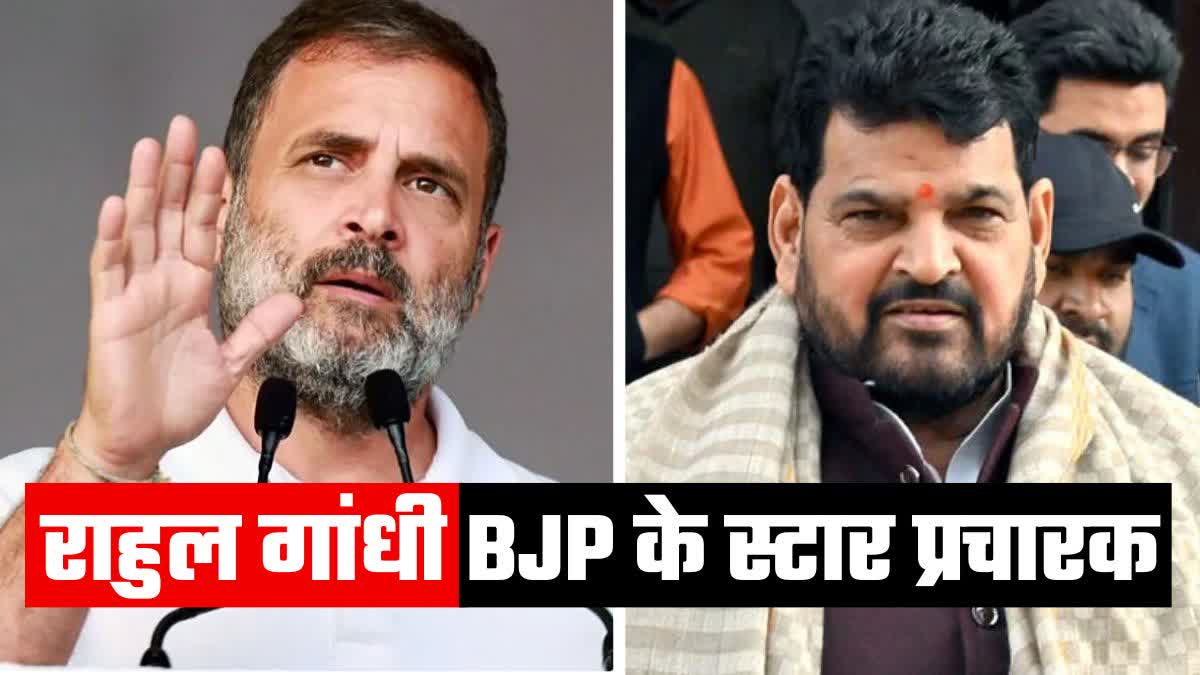 Etv Bharatकांग्रेस नेता राहुल गांधी  सांसद बृजभूषण शरण सिंह  MP Brij Bhushan Singh  Congress leader Rahul Gandhi  सांसद बृजभूषण शरण सिंह