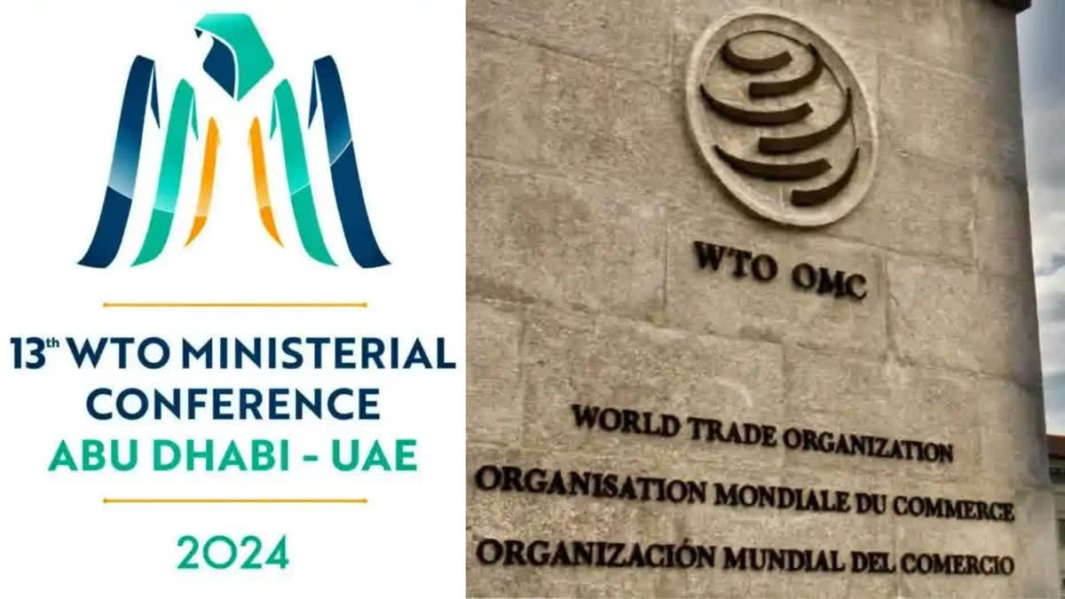 India: WTO Ministerial Conference at Abu Dhabi