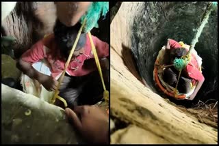 Rescue of a mentally ill person who fell into a 300 feet deep well