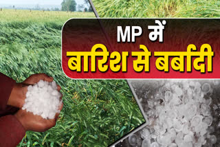 Hailstorms hit many Districts in MP