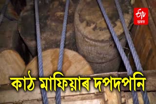 Timber smuggled in cooking gas vehicle seized in Tinsukia