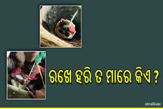 ୩୦୦ଫୁଟ ଗଭୀରରୁ ଯୁବକ ଉଦ୍ଧାର , ଦେଖନ୍ତୁ ଉଦ୍ଧାର କାର୍ଯ୍ୟ ?