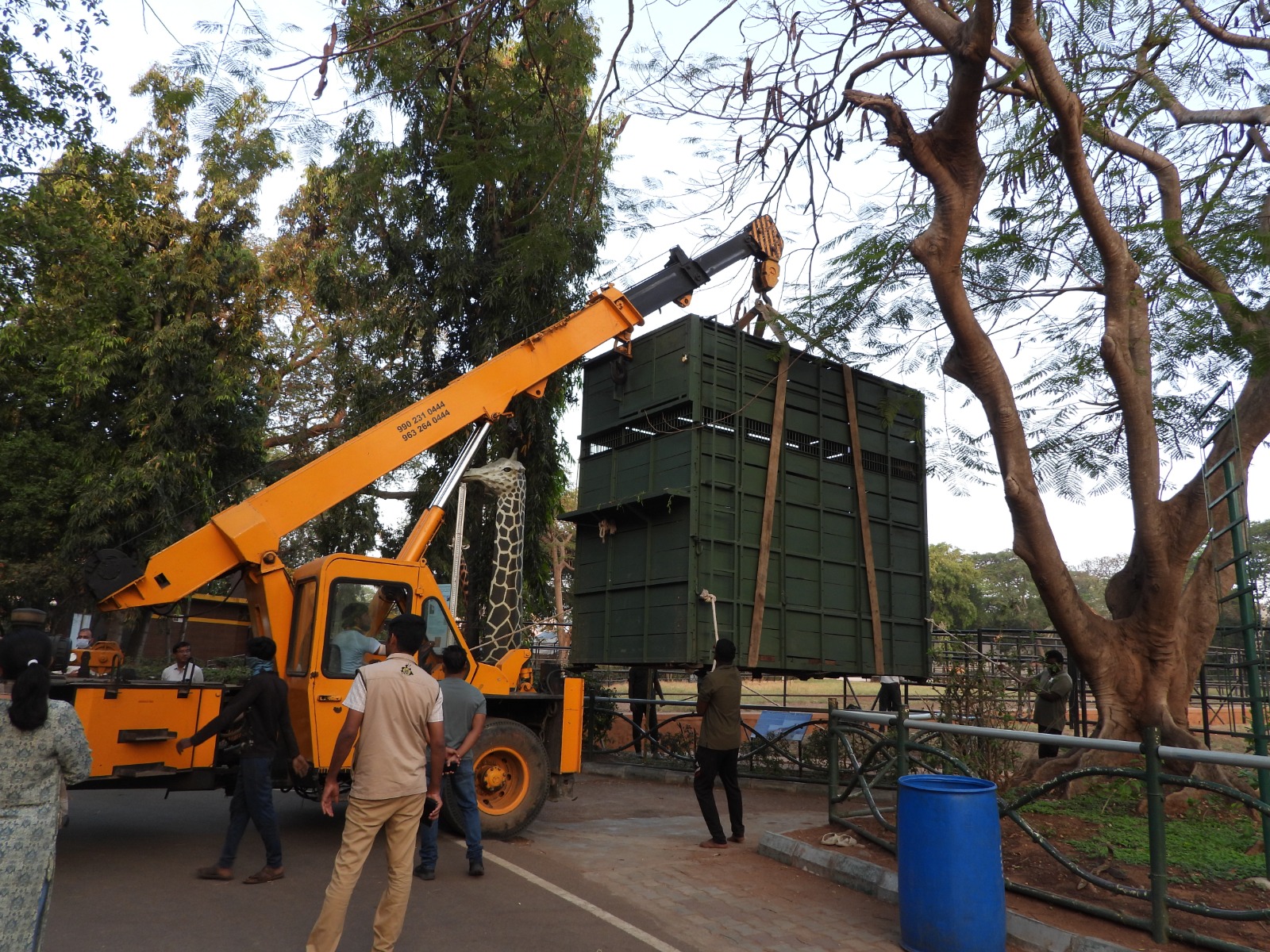 ಬೆಂಗಳೂರಿನ ಬನ್ನೇರುಘಟ್ಟ ಜೈವಿಕ ಉದ್ಯಾನವನಕ್ಕೆ ಜಿರಾಫೆ ತಂದಿರುವುದು