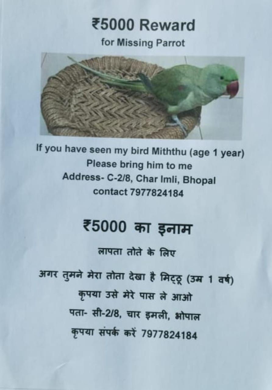 Bhopal parrot missing