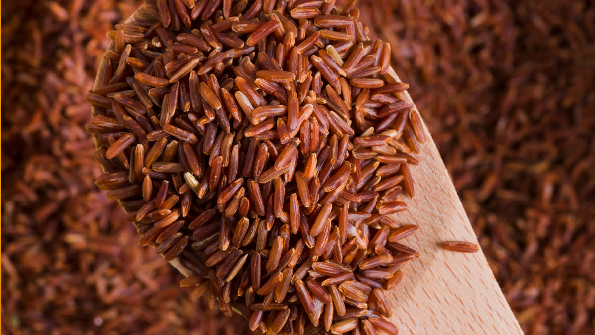 Eating brown rice has not only advantages but also disadvantages, know them or else you will get into trouble