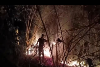 Battling The Blaze: Koraput Forest Department In Odisha Gears Up To Combat Forest Fires
