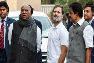 मल्लिकार्जुन खड़गे, राहुल गांधी और केसी वेणुगोपाल