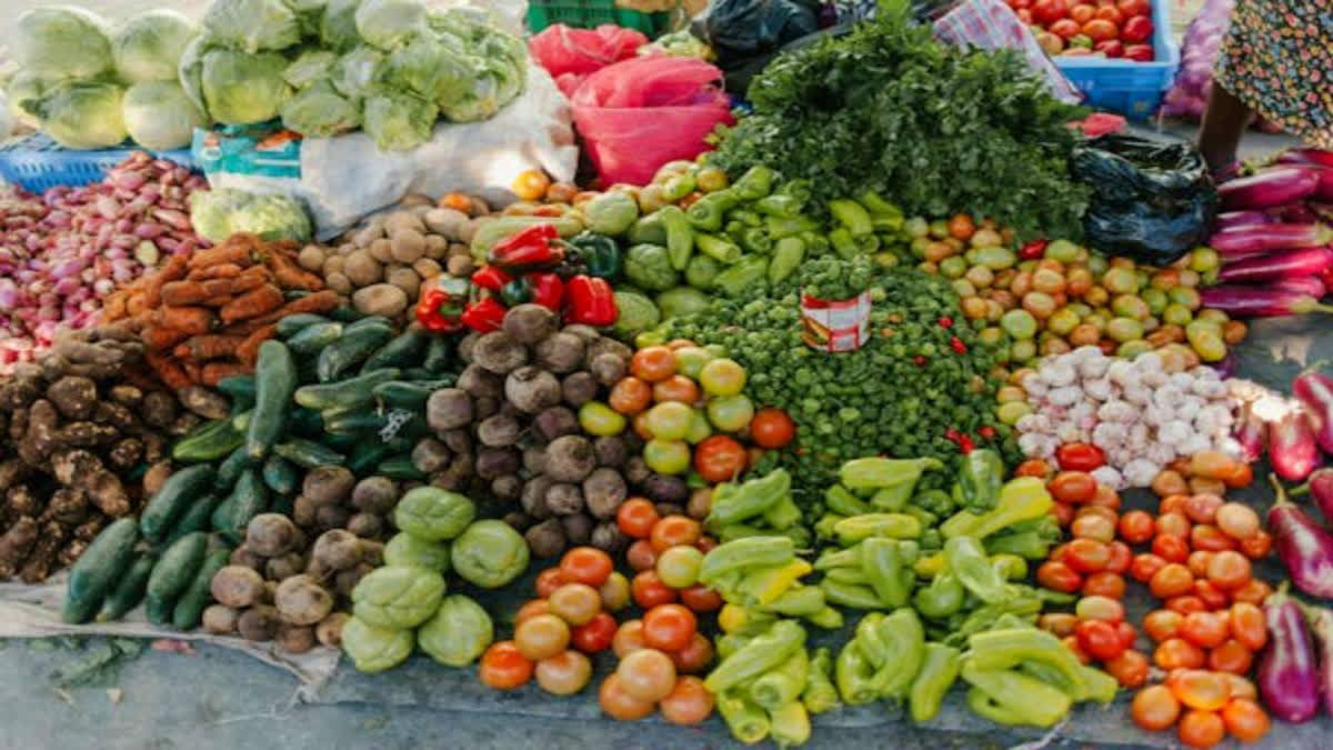 India, along with China, Japan, and the US, dominates the vegetable seeds market, with over 40 different crops offering niches for companies. Despite challenges in organising and supplying complex product ranges, competition remains intense, with 12 companies exceeding USD 100 million annually.