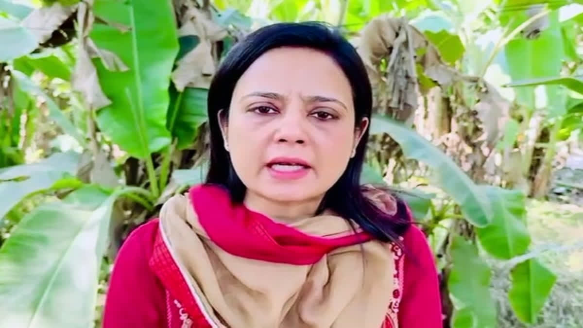 Tmcs Mahua Moitra To Campaign In Bengals Krishnanagar On Thursday Skip Ed Summons 8259