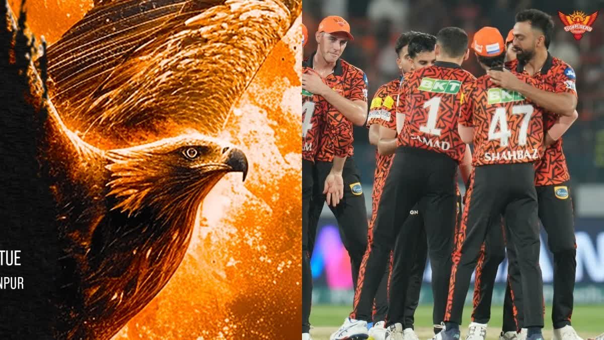 sunrisers hyderabad iPl