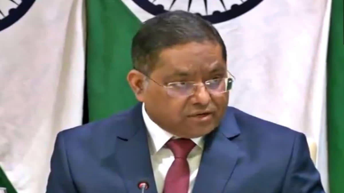 Any external imputation on electoral, legal processes unacceptable: MEA