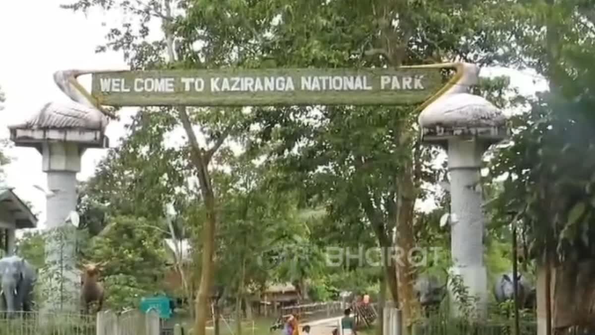 Kaziranga National Park