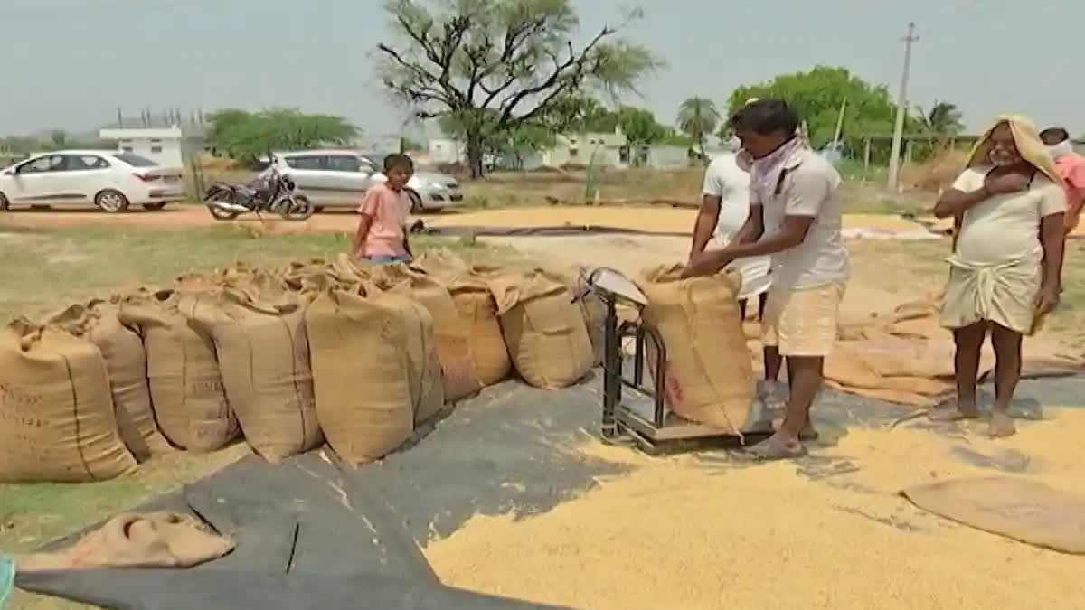 Paddy procurement in Telangana