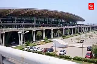 White parrot seized in chennai airport