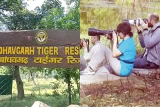 umaria bandhavgarh national park