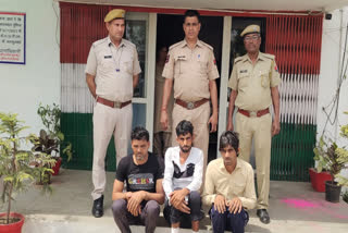 3 cow smugglers arrested