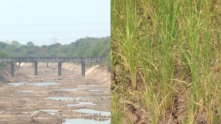 Water scarcity for Crops in Karimnagar