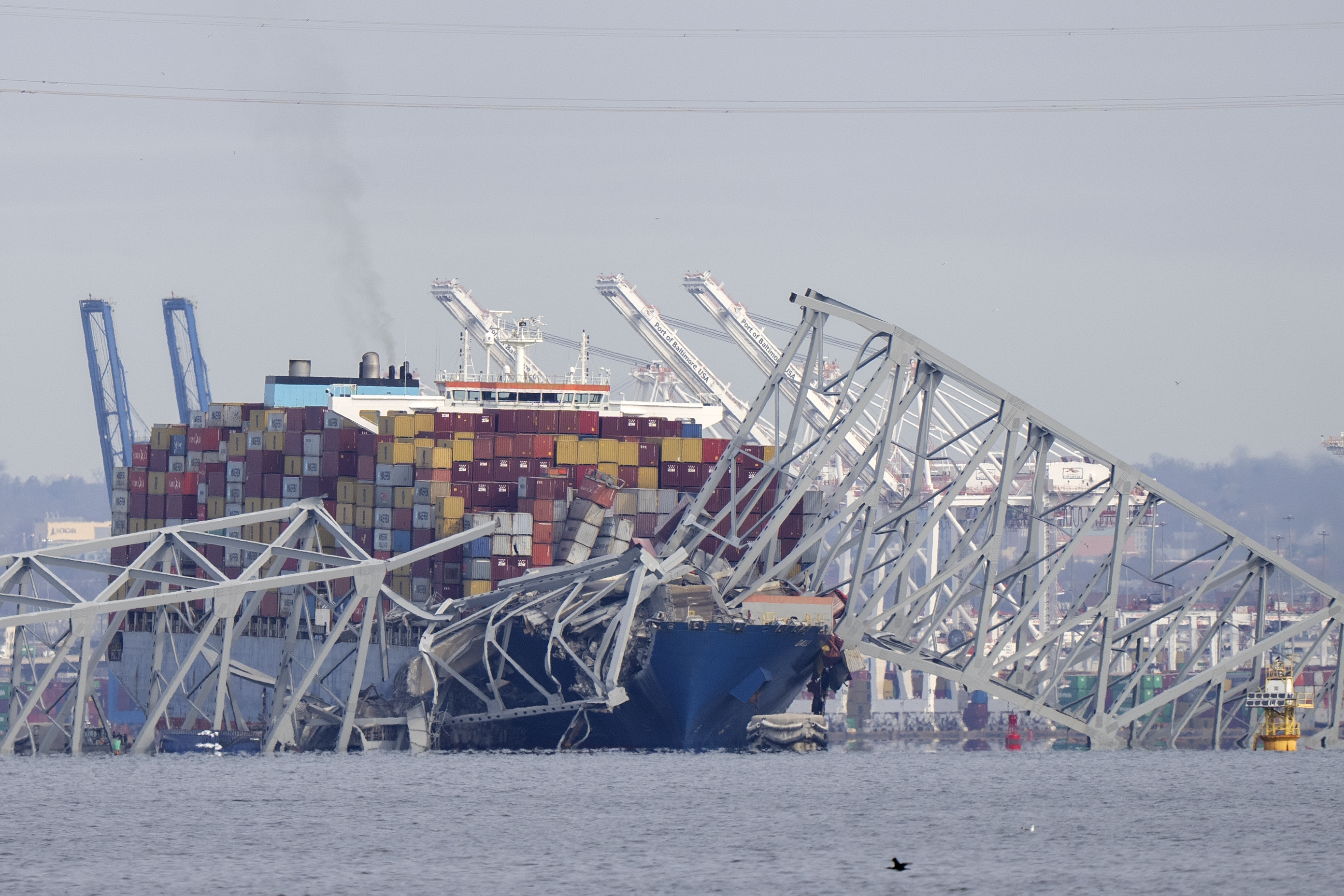 Baltimore Bridge Collapse