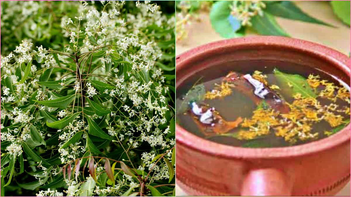 TAMILNADU NEEM FLOWER DRINK