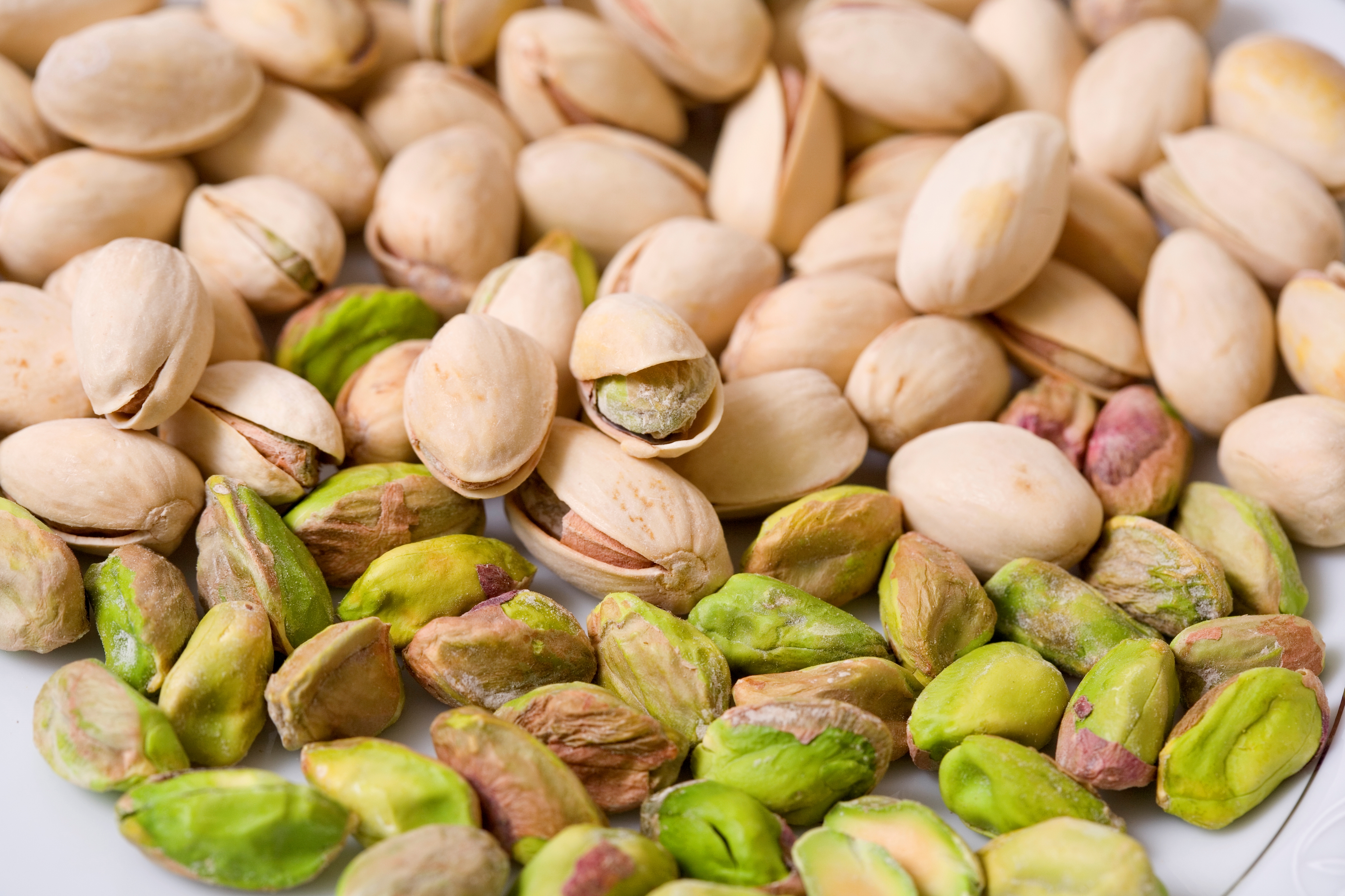 Dry Fruits Milkshake