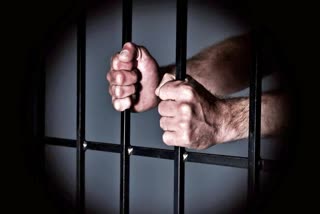 uae prisoners release 2025