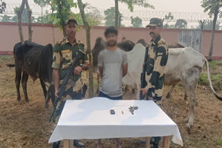 ETV BHARAT